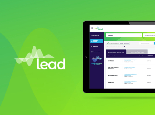 Data intelligence, solution Lead