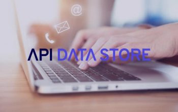 API Data Store