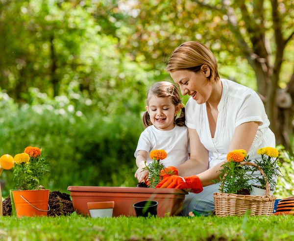 Amateurs de jardinage